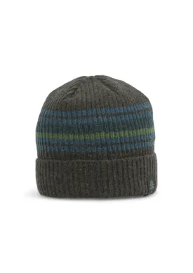 Forester Knit Beanie With Stripe - Peat