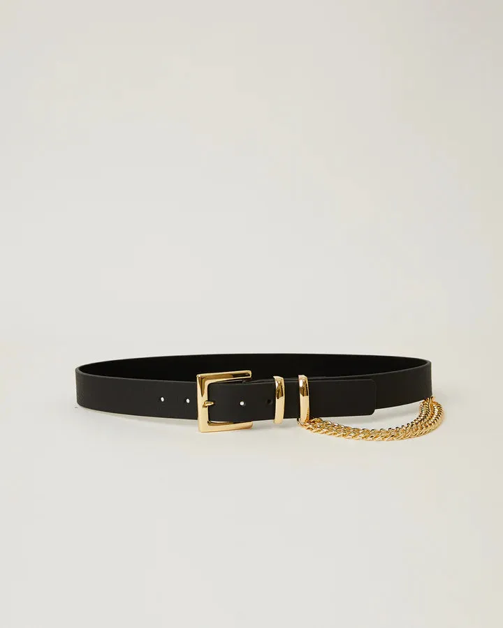 Phoenix Belt
