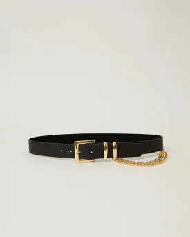 Phoenix Belt